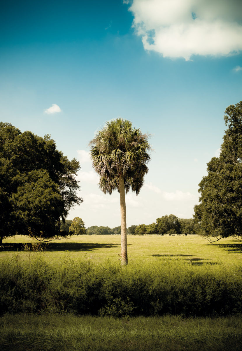 florida-s-hidden-hot-spots-where-to-get-lost-garden-gun