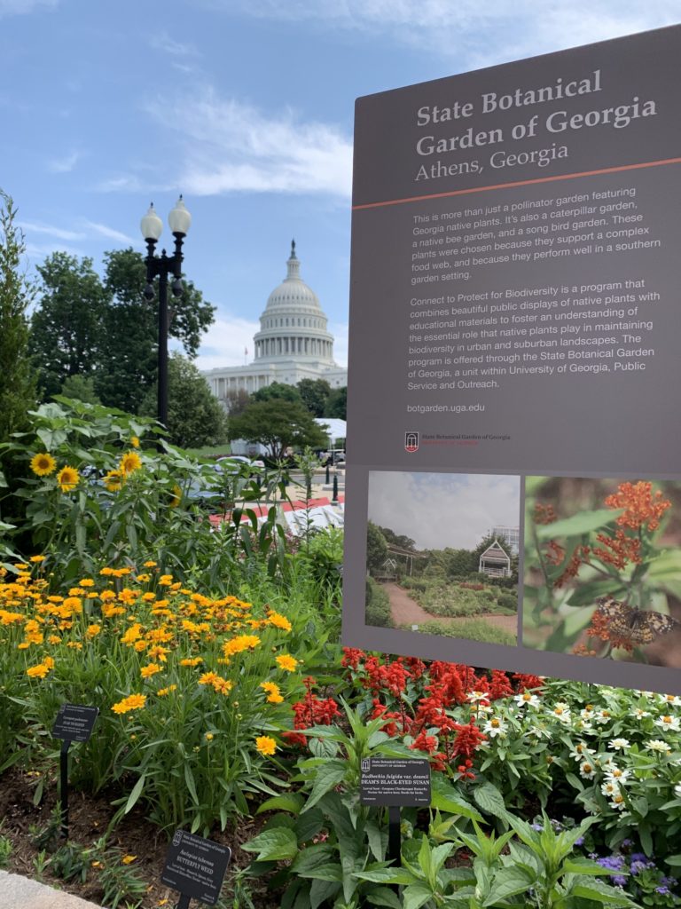 The Botanical States Of America Garden Gun