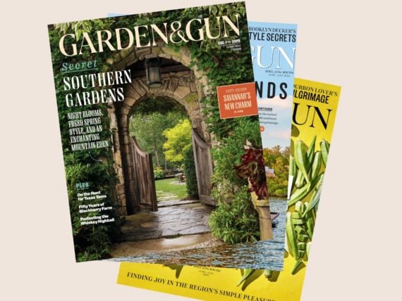 A fan of magazine covers