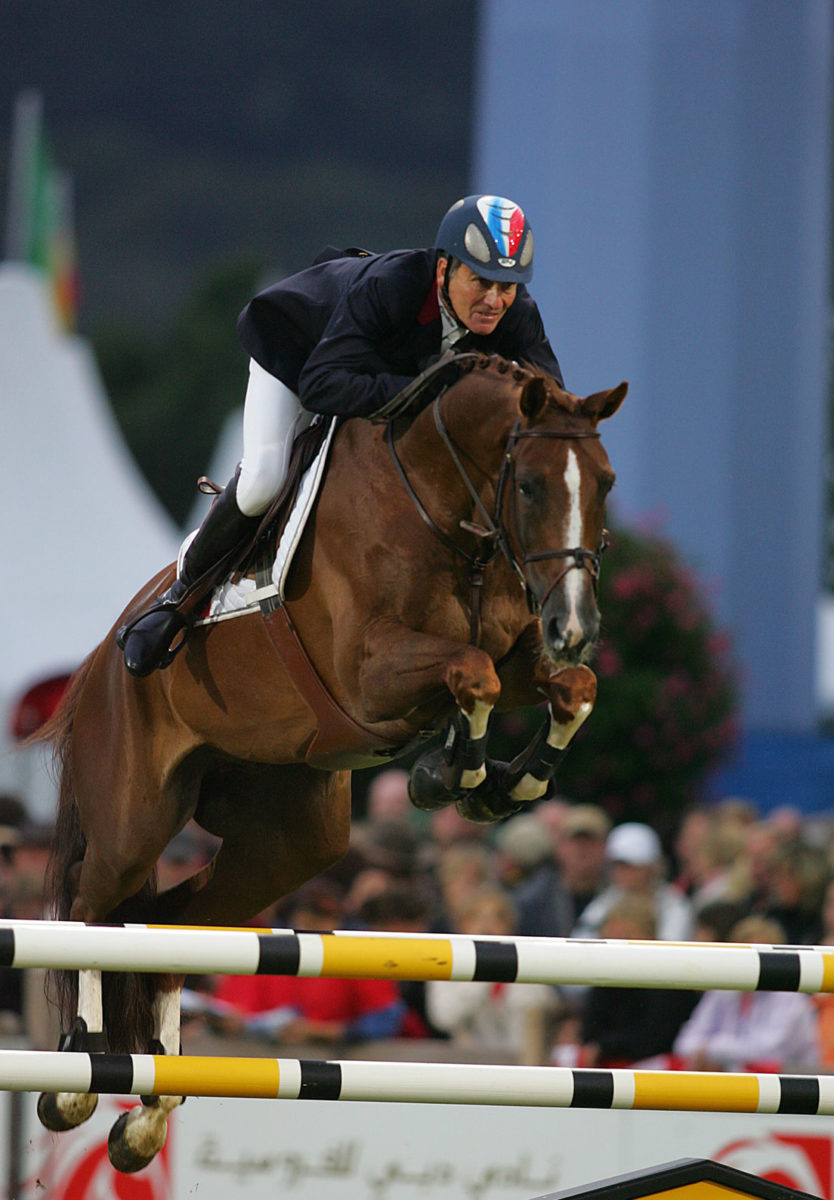 Meet Our Horses, image size:834x1200