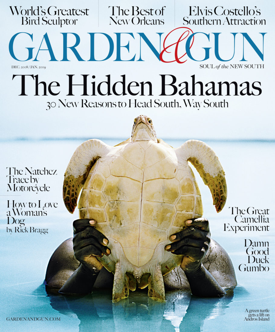 Garden Gun Cover Gallery Garden Gun
