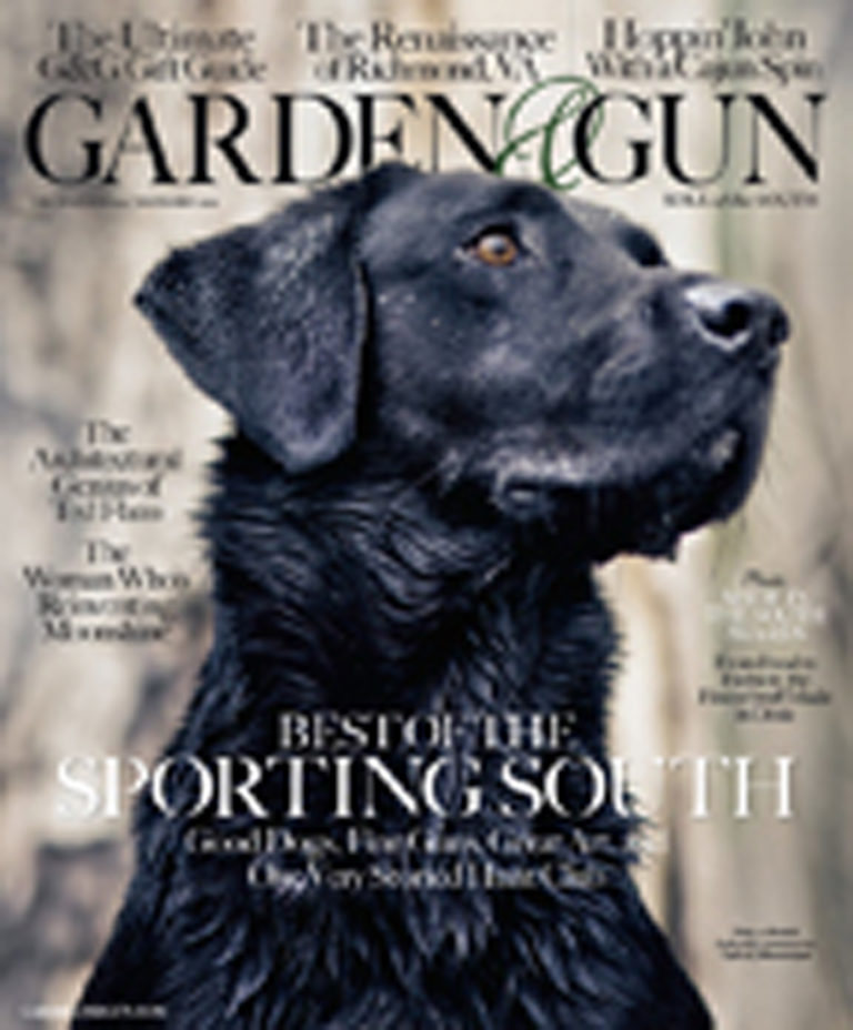 G G S Dog Stars Garden Gun