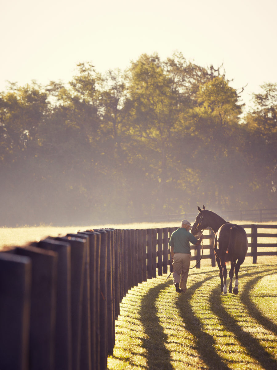 One Step  The Kentucky Gent