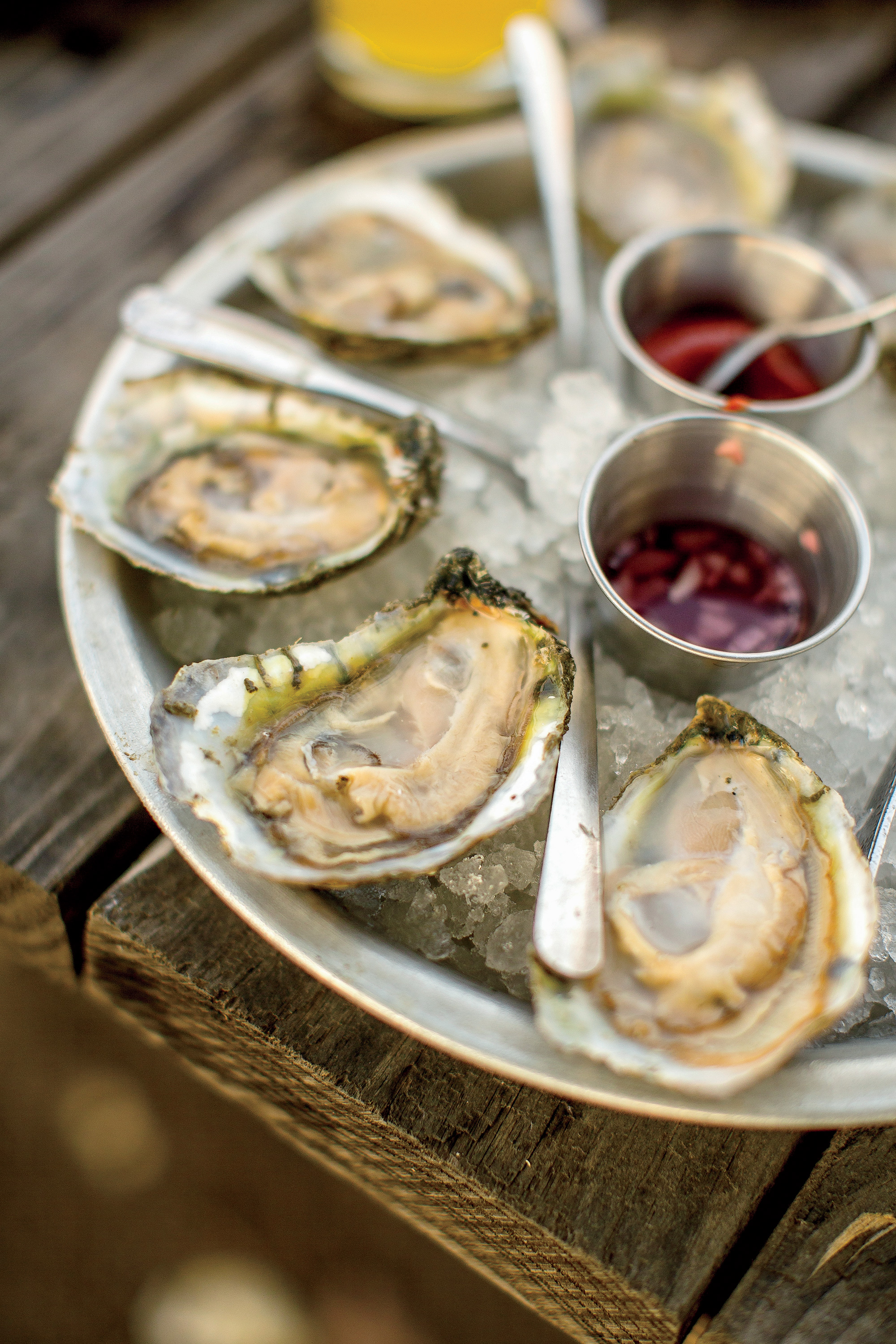 Champions of Chesapeake Oysters – Garden & Gun