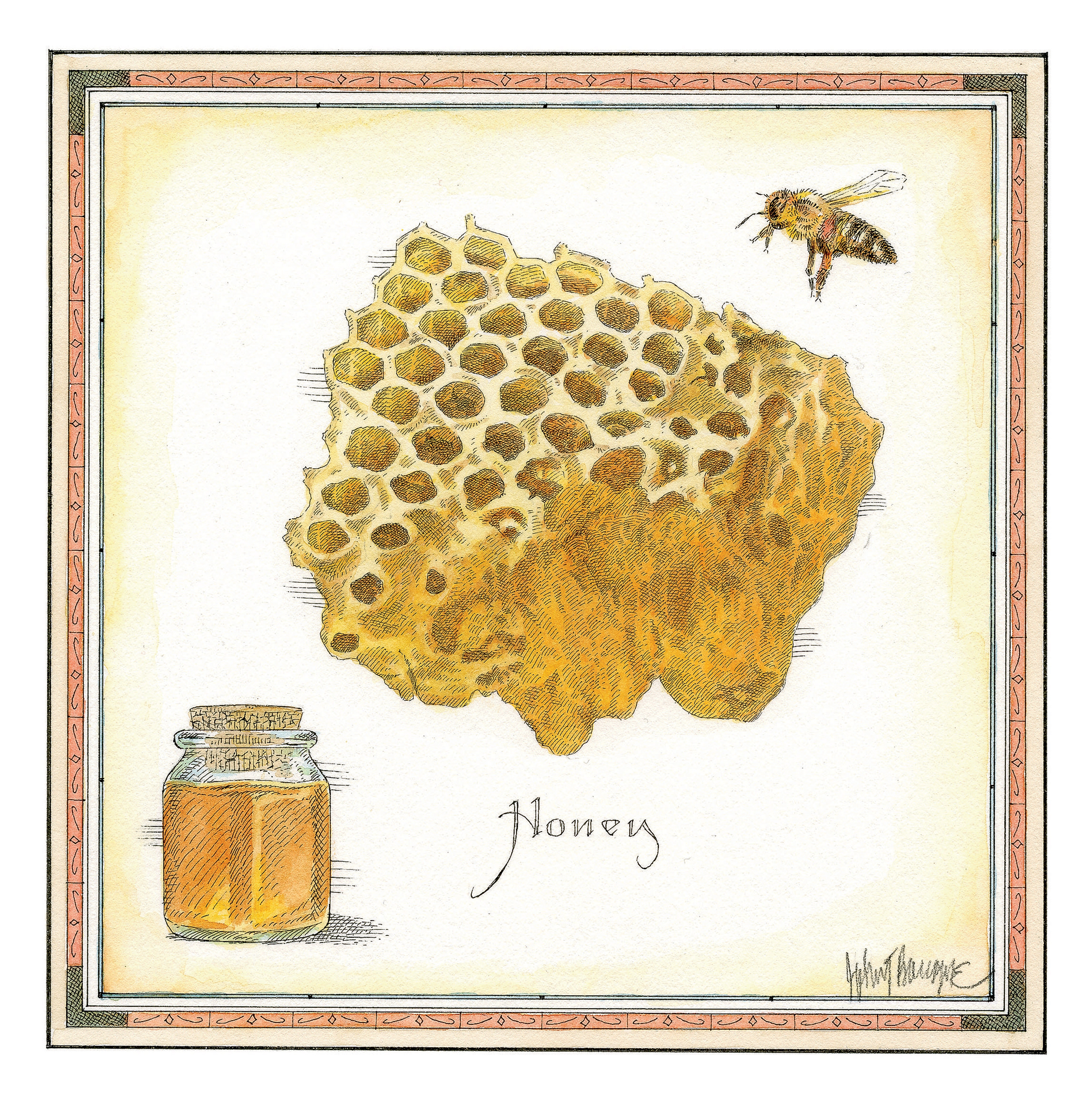 TUPELO HONEY – Backyard Bee