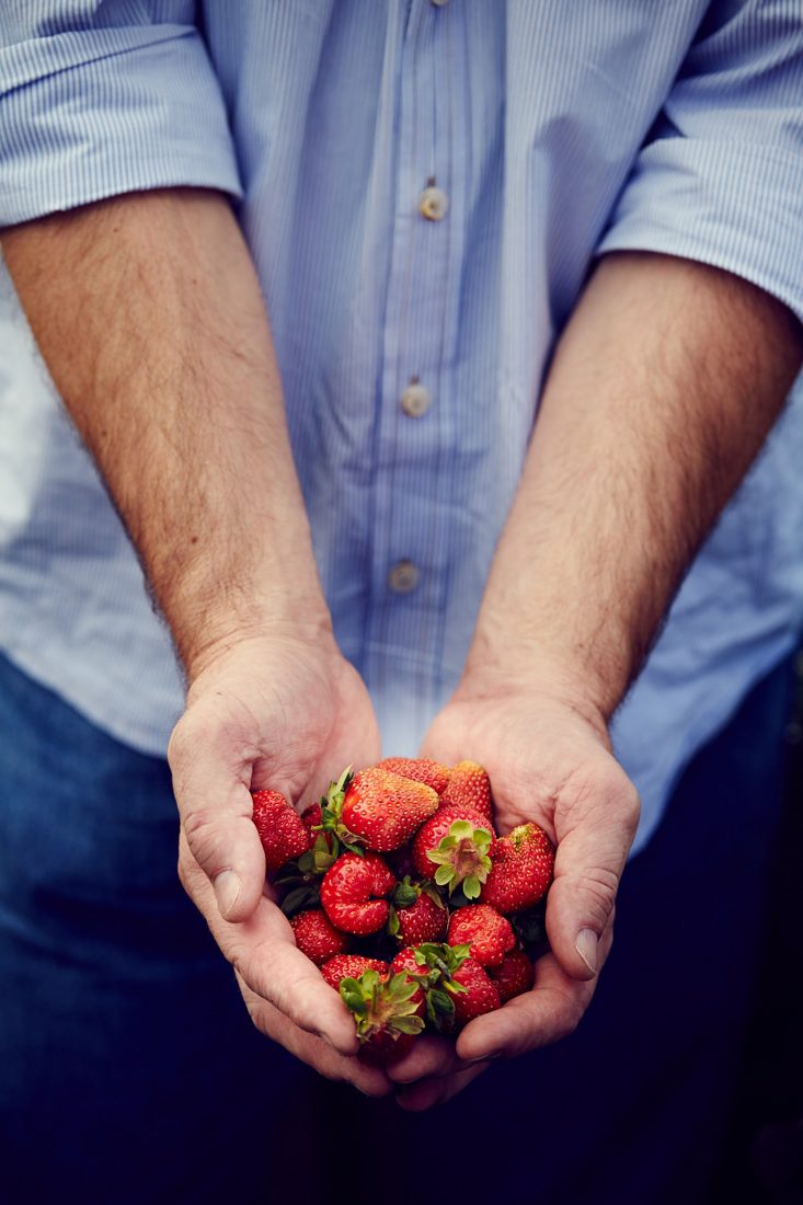 Strawberries from the farmers market in Asheville, North Carolina.
