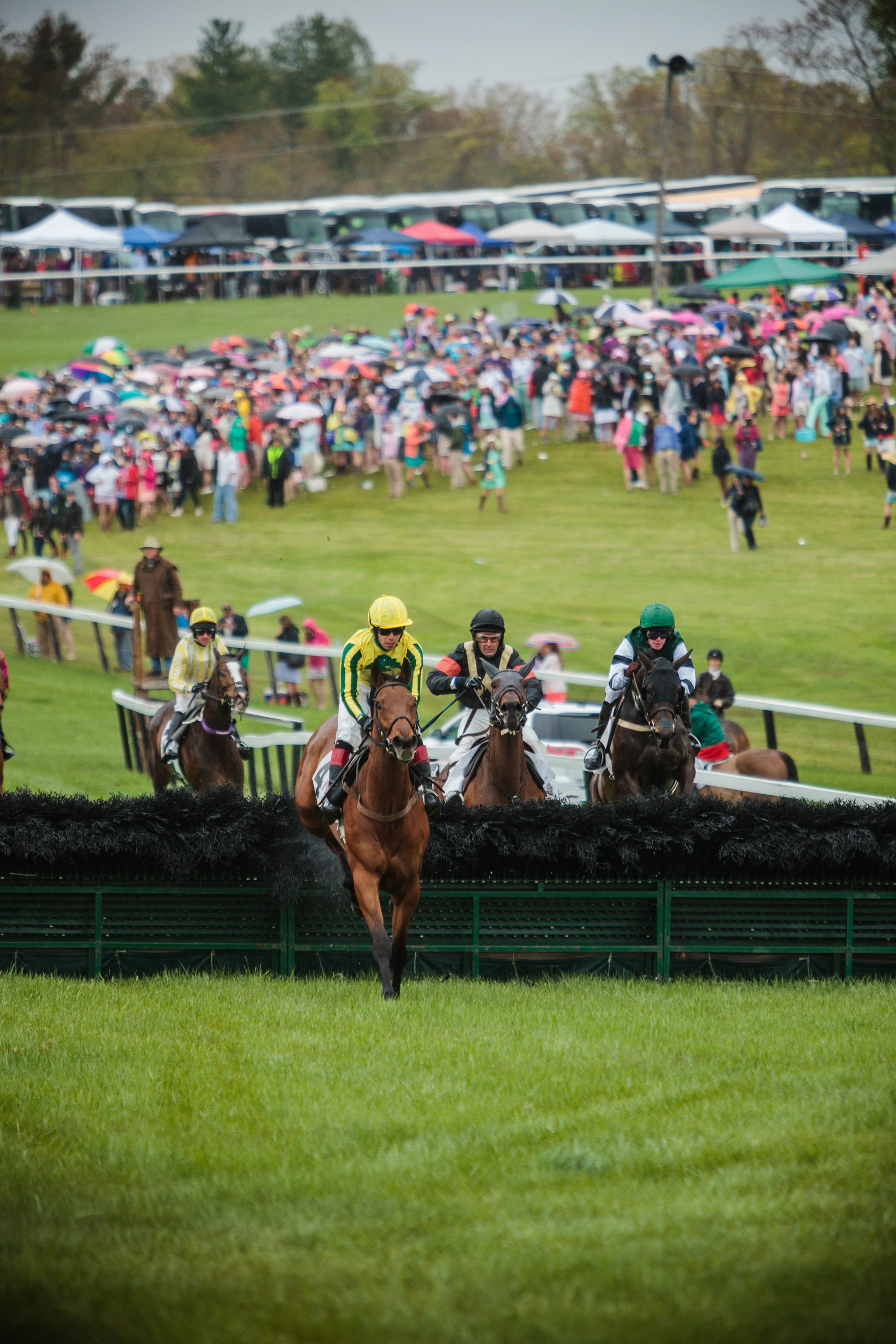 Fox Field G&G Tent at the Foxfield Spring Races – Garden & Gun
