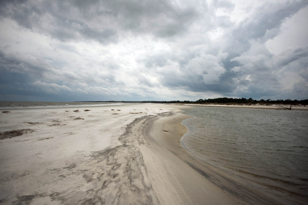 At eleven miles long with 16,500 protected acres, Sapelo is Georgia's fourth largest island.