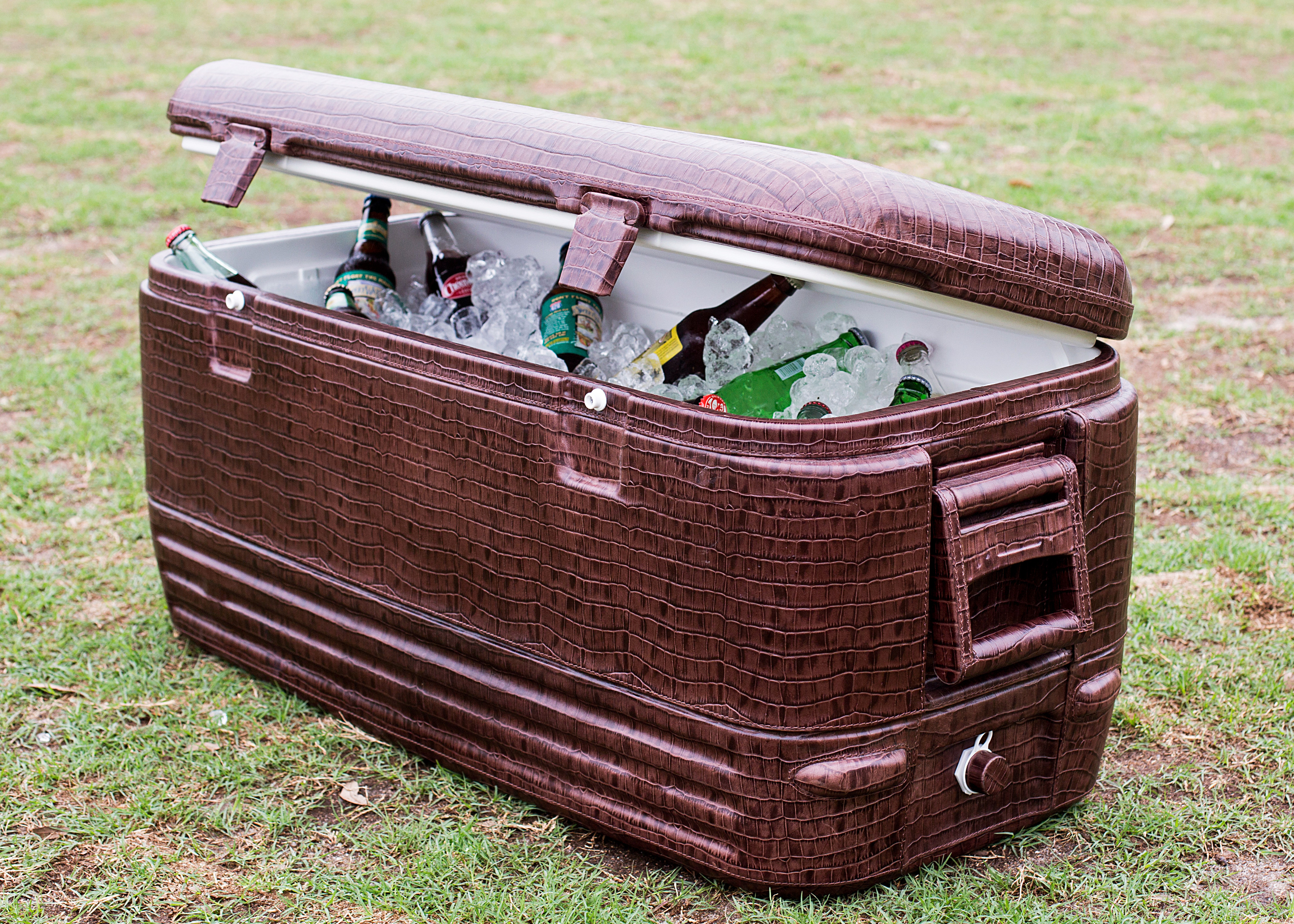 My Tailgating Beverage Can Cooler – RAYGUN