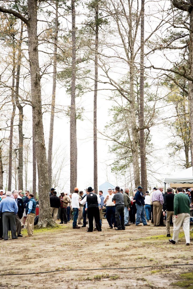 Crowds gather beneath the trees.