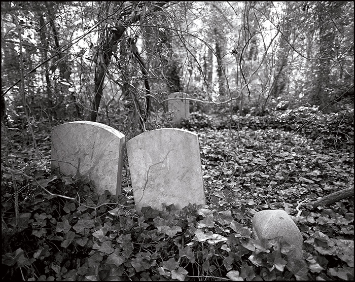 Hidden-Cemetery.jpg