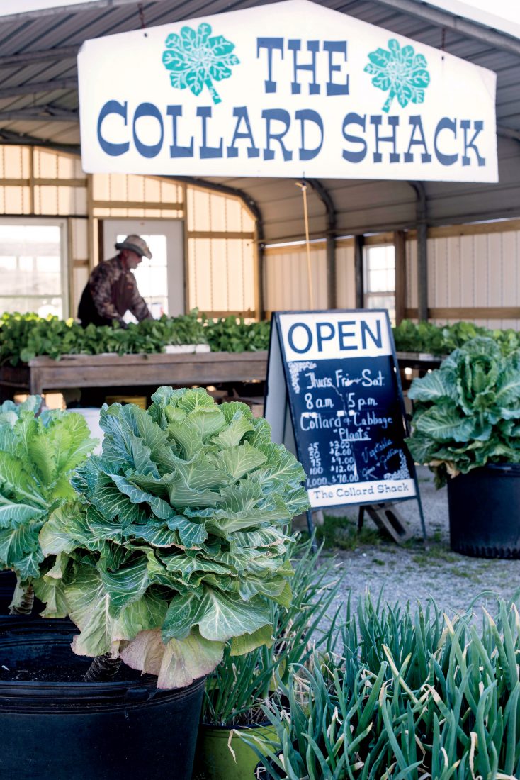 Local greens for sale at the Collard Shack