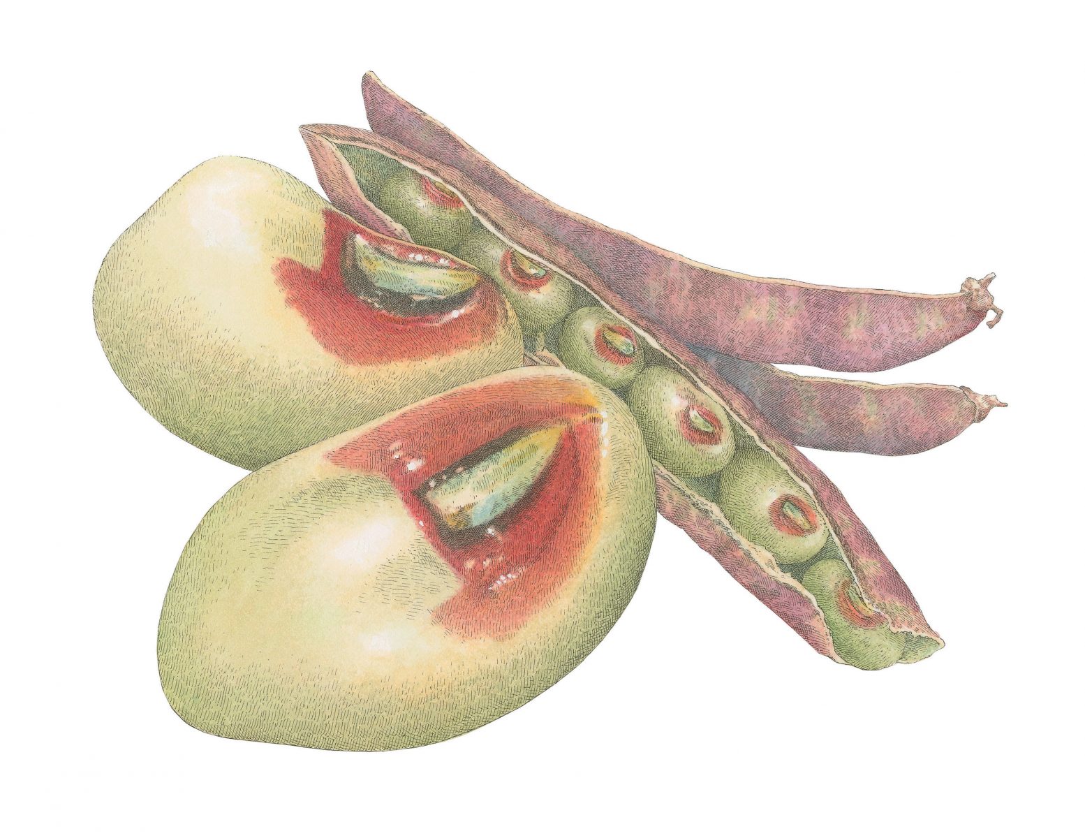 PinkEyed Peas Garden & Gun