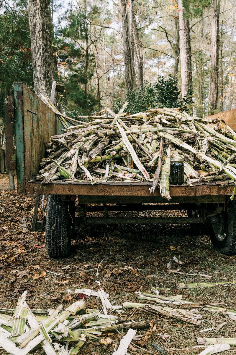 Cane Syrup The Forgotten Harvest Garden Gun