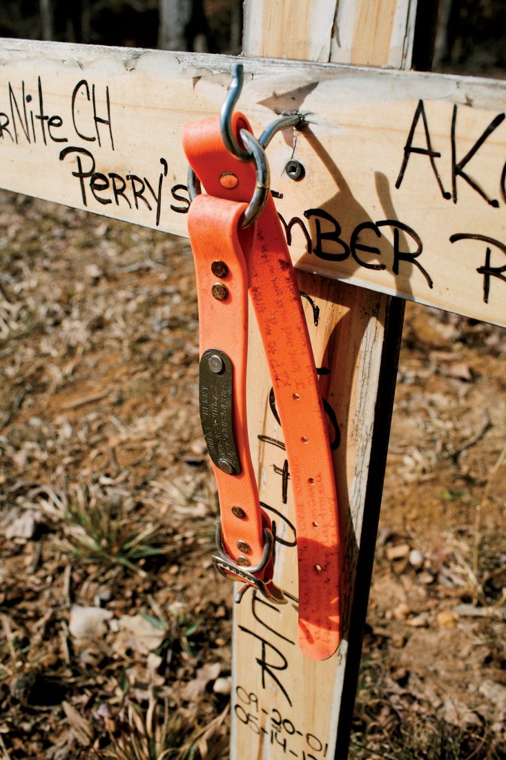 A coon dog's collar hangs in memory.