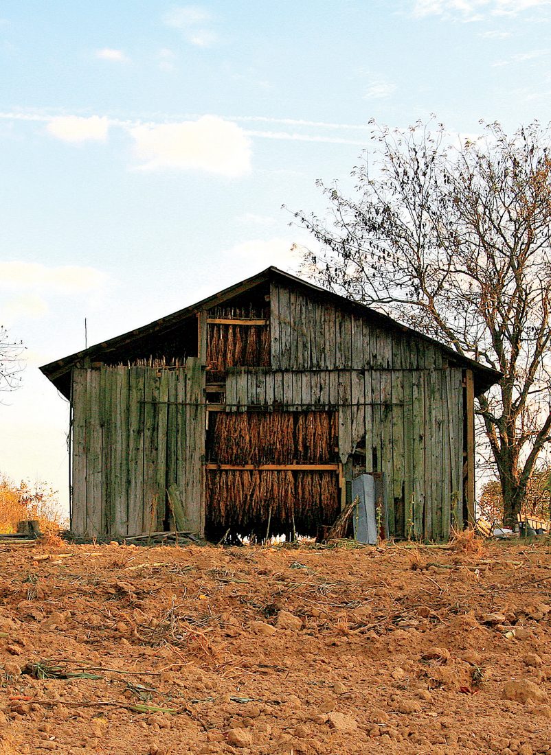 A salvaged tobacco barn near Walnut Cove, North Carolina.