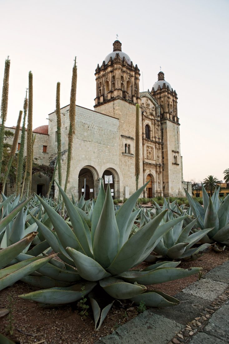 Oaxaca's Santo Domingo monastery.