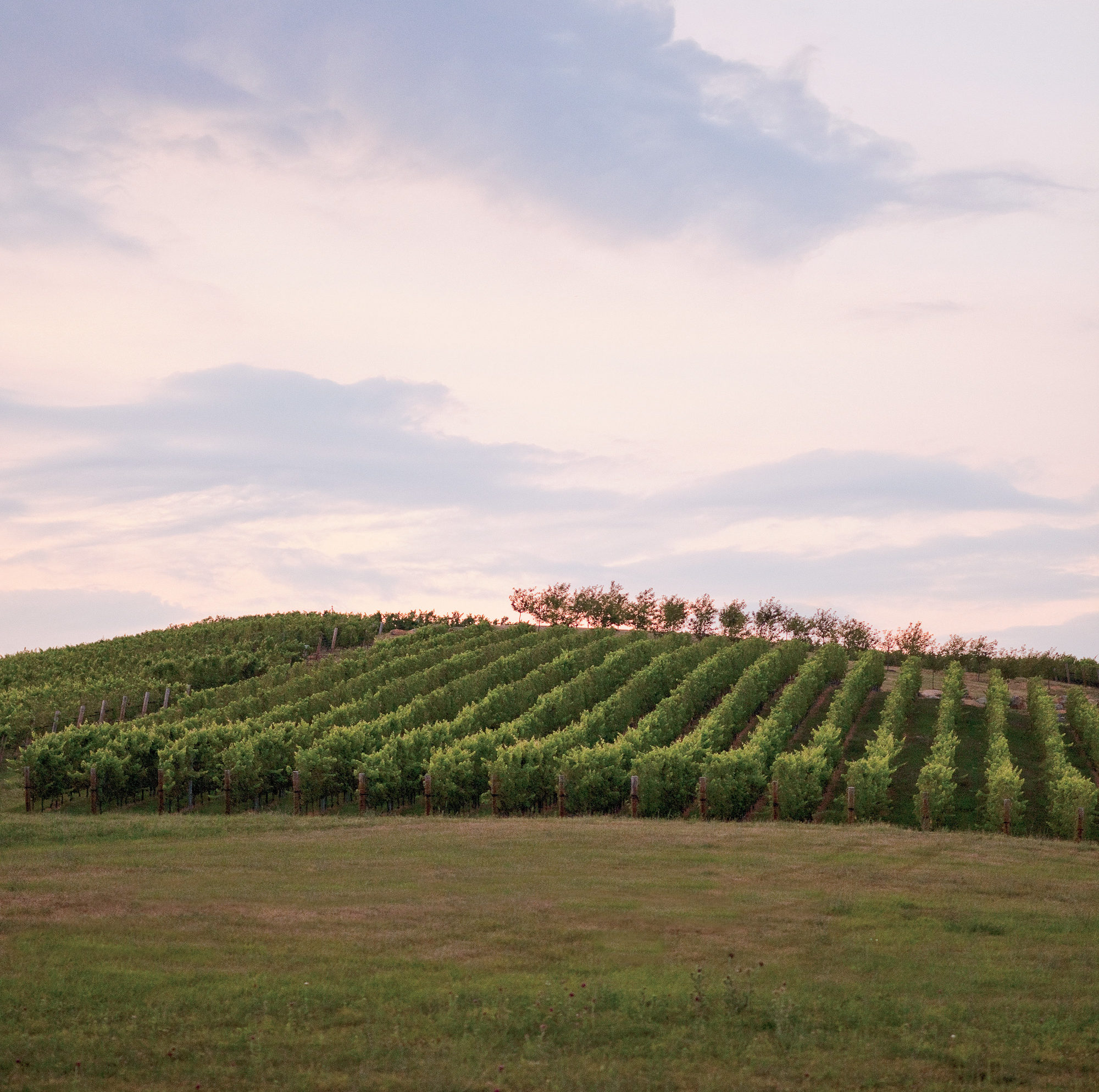 Virginia Terroir – Garden & Gun