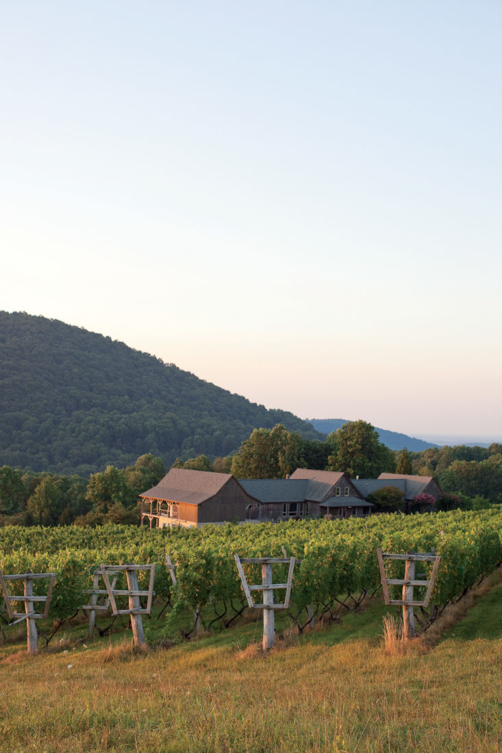 Linden Vineyards in Fauquier County, Virginia.