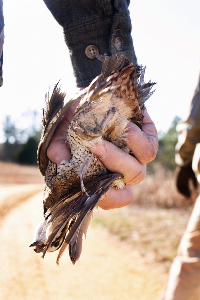Alabama's Quail Trail Garden & Gun