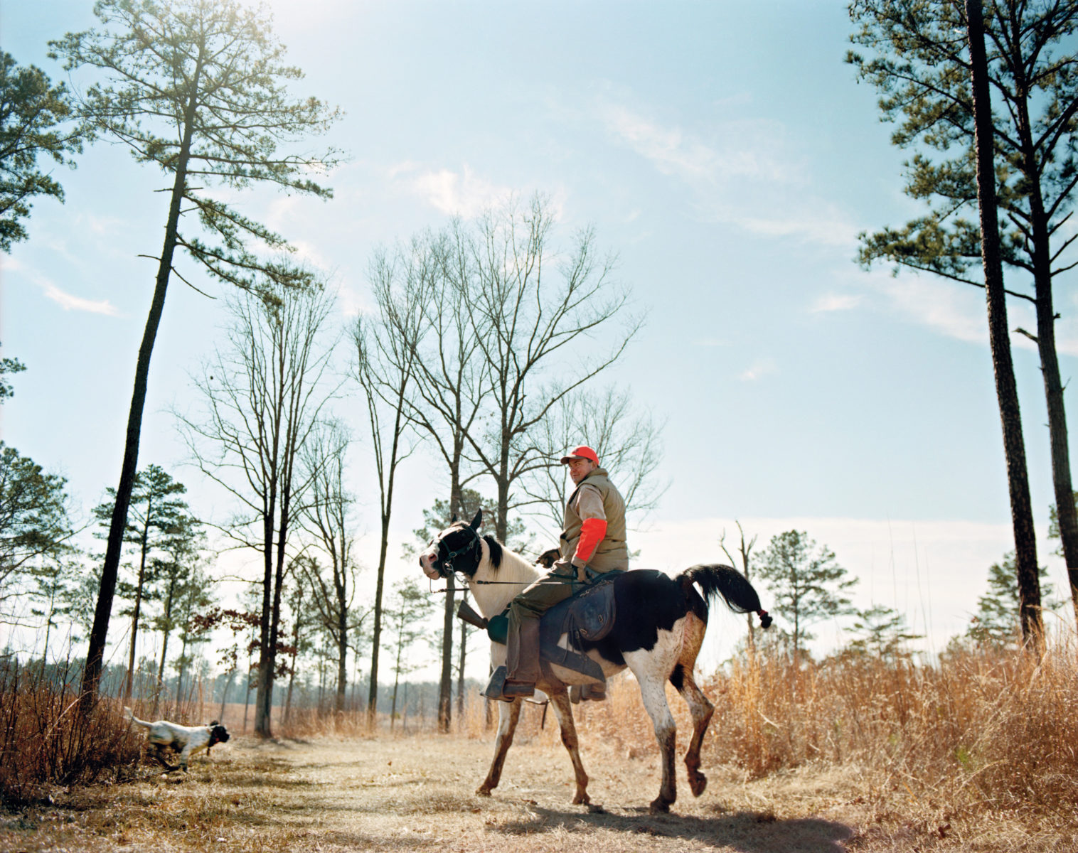 Alabama's Quail Trail – Garden & Gun