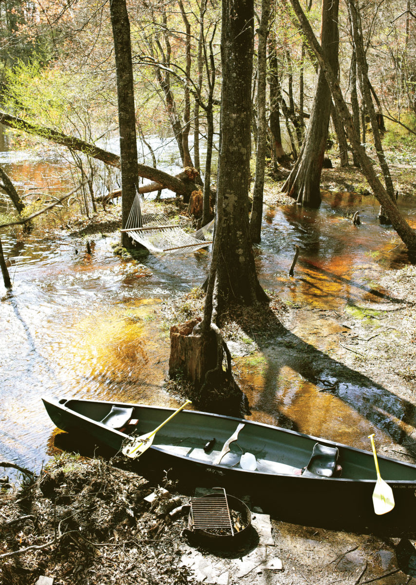 Treetop Hideaway Edisto River Tree Houses Garden & Gun
