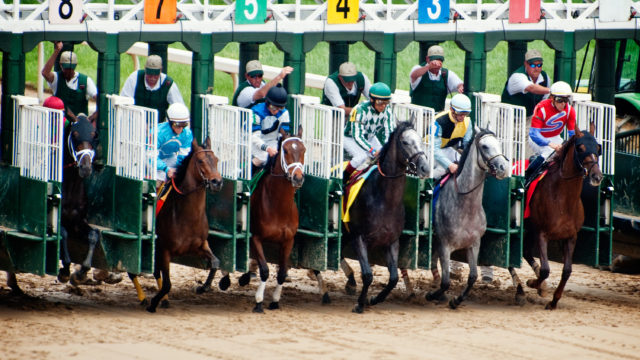 Guide to the Kentucky Derby – Garden & Gun