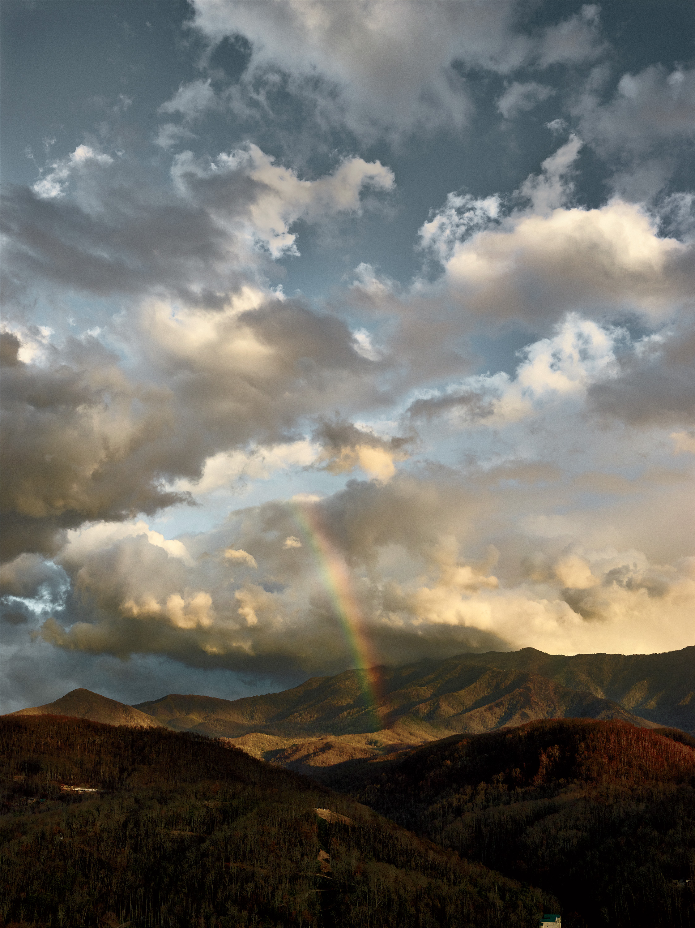 Gatlinburg Fire Drone Photos: Families in Their Former Homes, image size:2248x3000