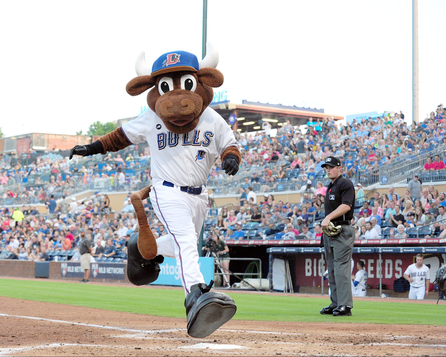 15 most bizarre minor-league baseball mascots in America