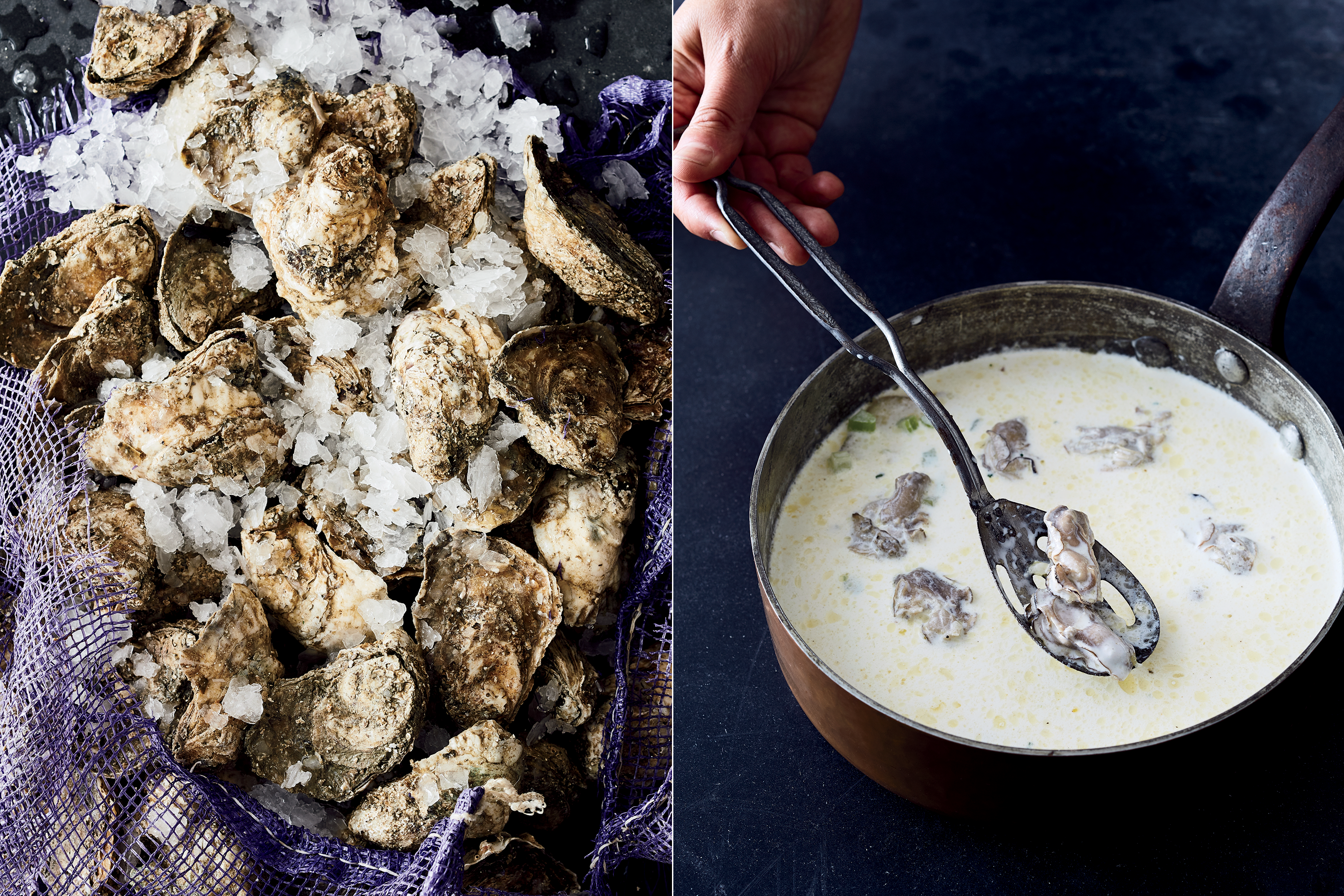 Maryland Oyster Stew