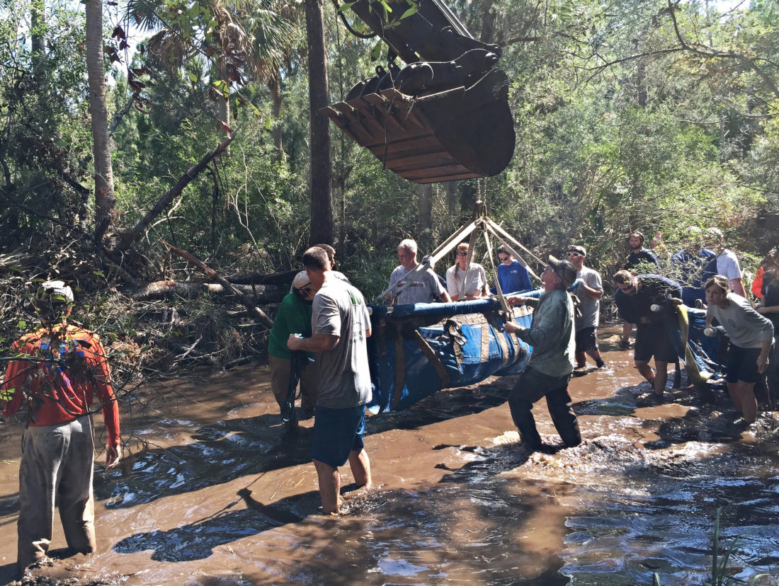 Saving Manatees Left High And Dry By Hurricane Irma – Garden & Gun