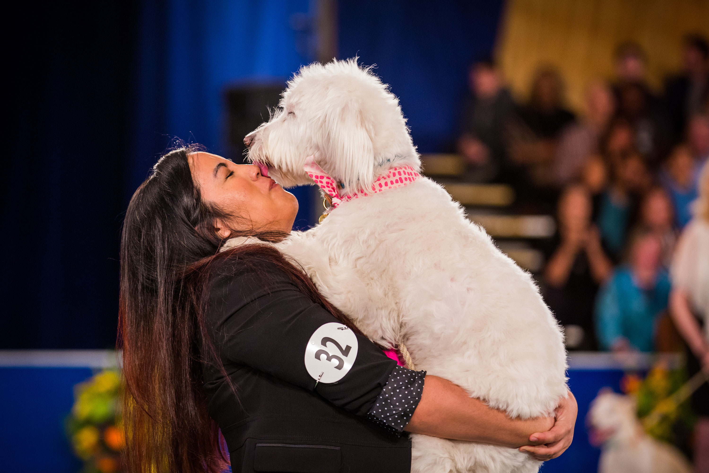 Shelter Dog Showdown – Garden & Gun Shelter Dog Showdown – Garden & Gun