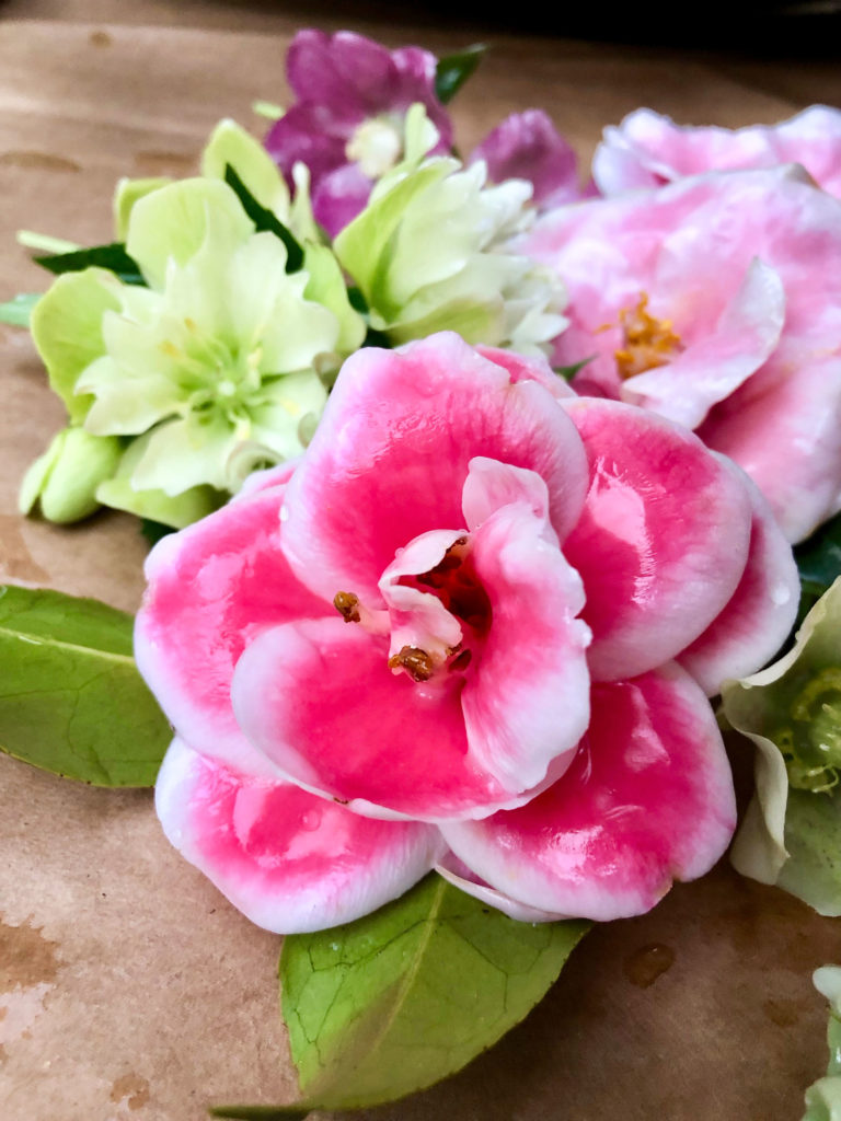 The Easy Art of Waxing Flowers Garden & Gun