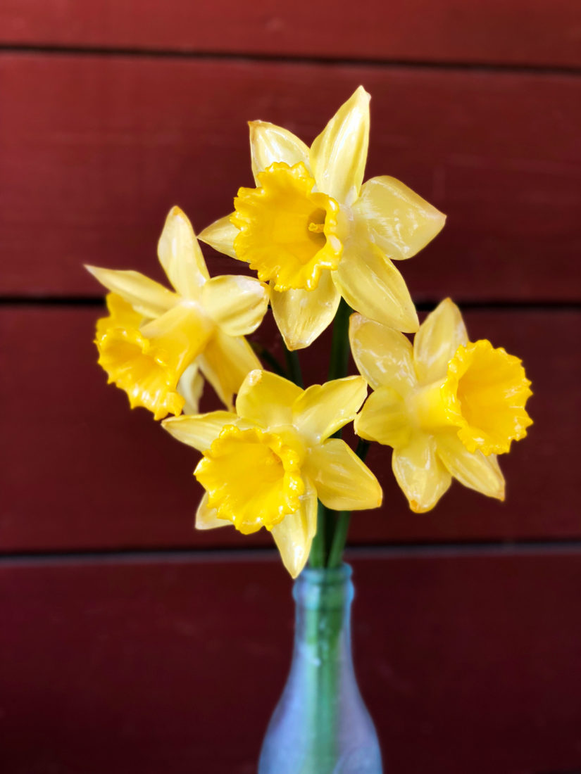 https://gardenandgun.com/wp-content/uploads/2018/03/Daffodils_Waxed_1_ed-825x1100.jpg