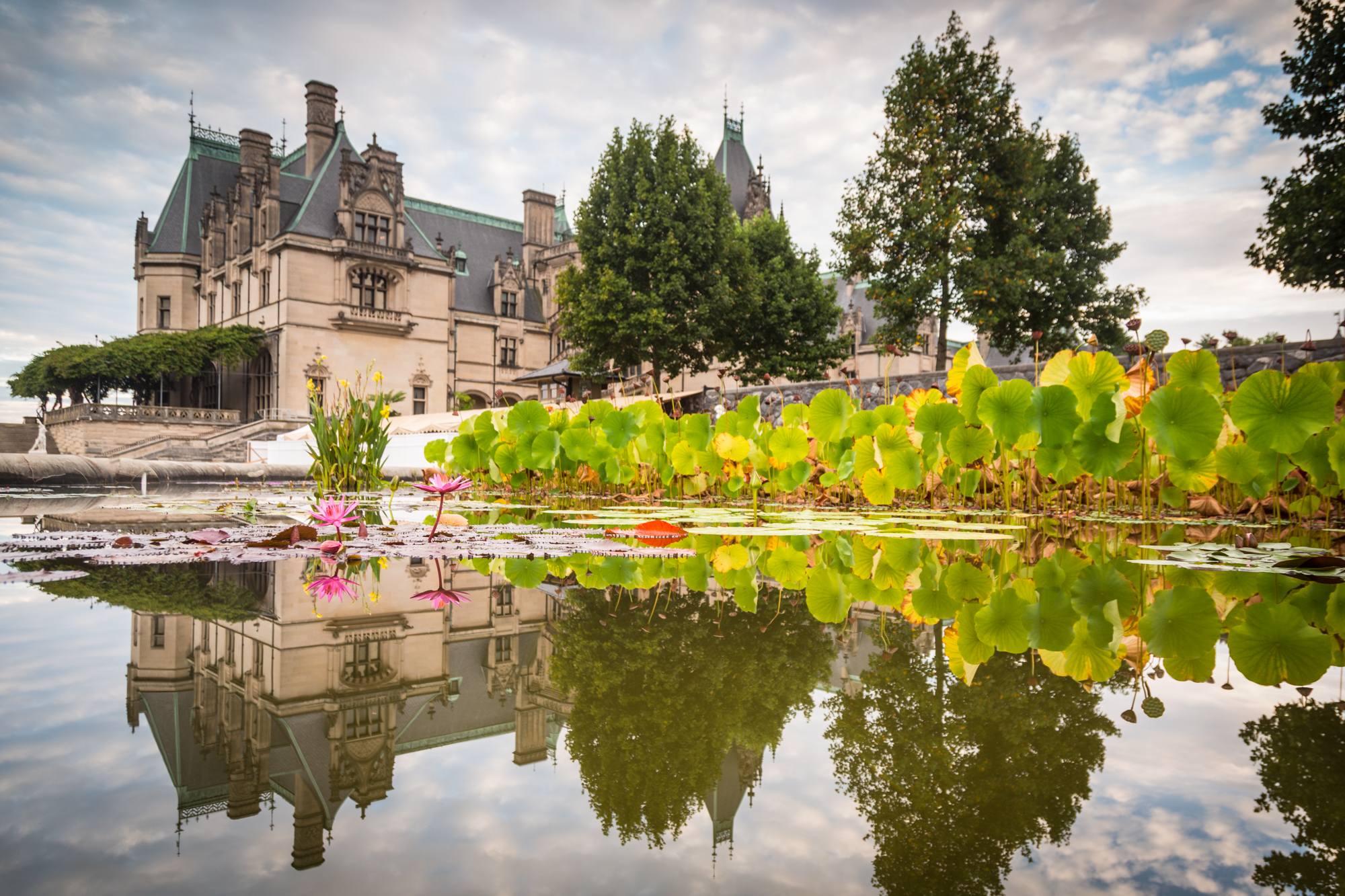 Biltmore Secrets The Untold Story Of Its Current Owners Will Shock You - wh4m18s