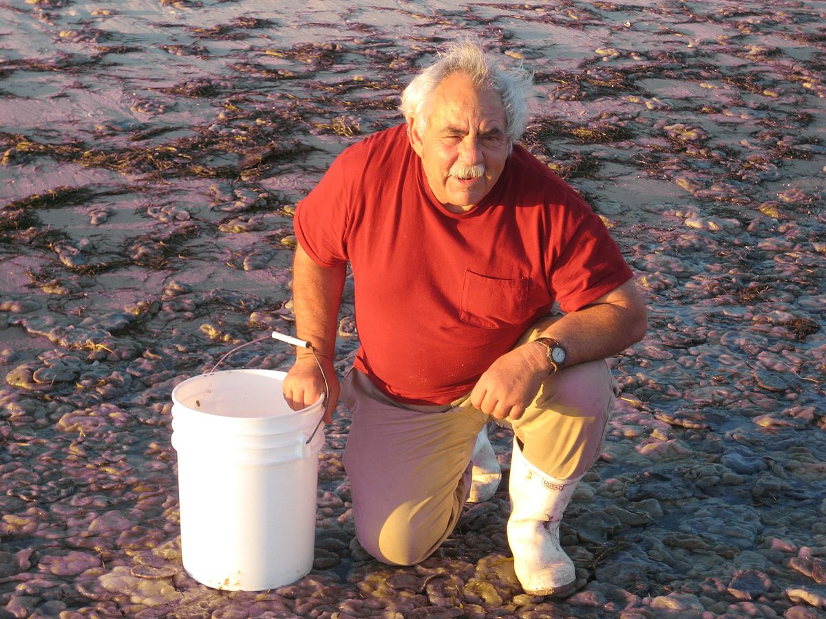 From Father To Son A Legacy Of Saving Sea Life Garden Gun