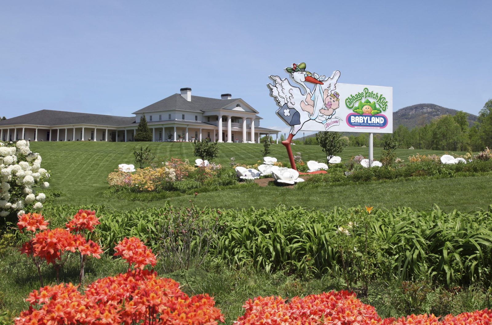 The History of Cabbage Patch Kids Forty Years Later Garden & Gun