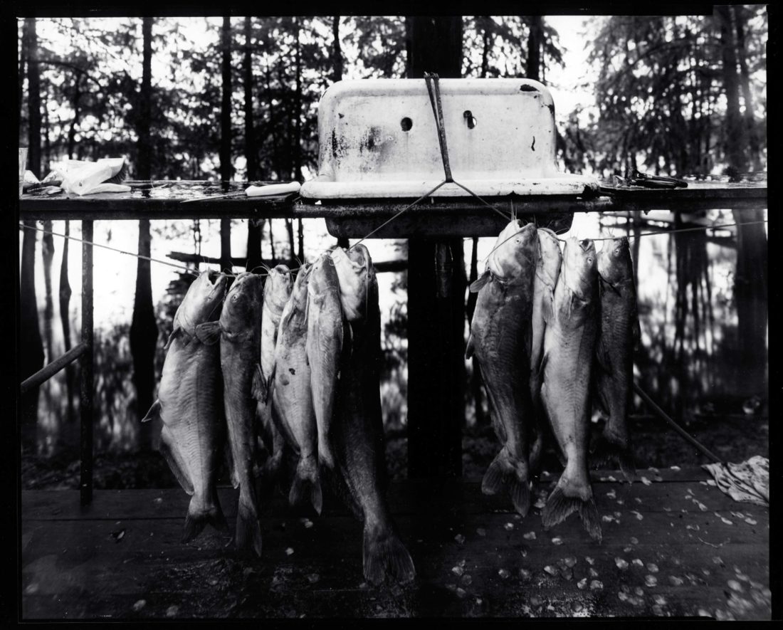 Catfish, 2004
Photograph by Thomas Rankin
Bee Lake, Holmes County, Mississippi