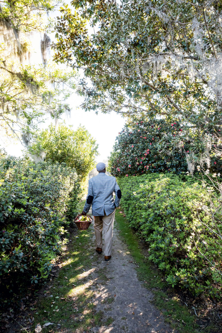 Meet the King of Camellias Garden & Gun