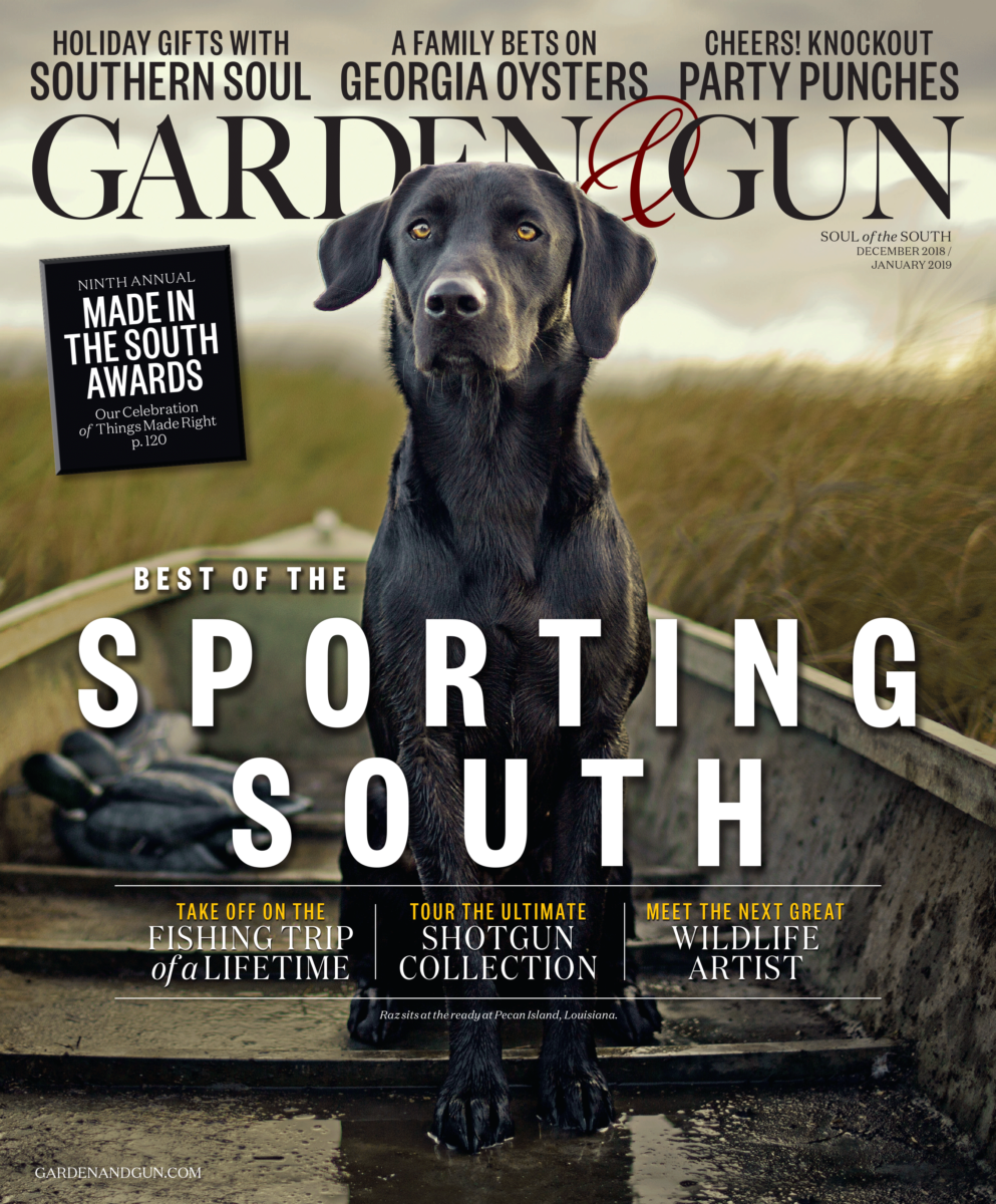 Tour the Ultimate Shotgun Collection – Garden & Gun