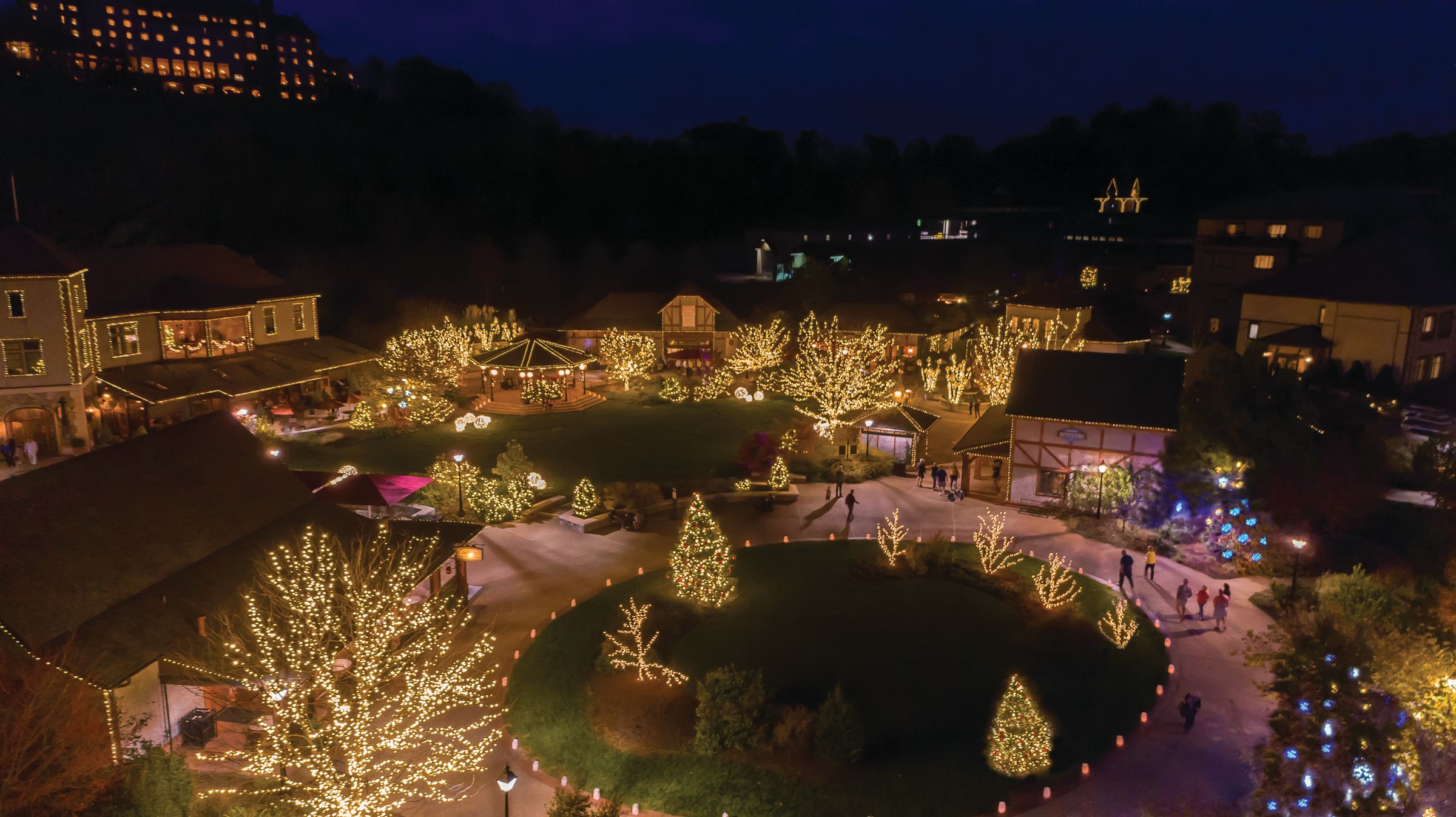 Christmas at the Biltmore, By the Numbers