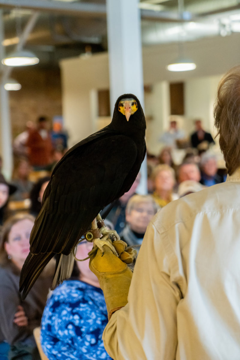 SEWE Cocktails & Conservation 2019 – Garden & Gun