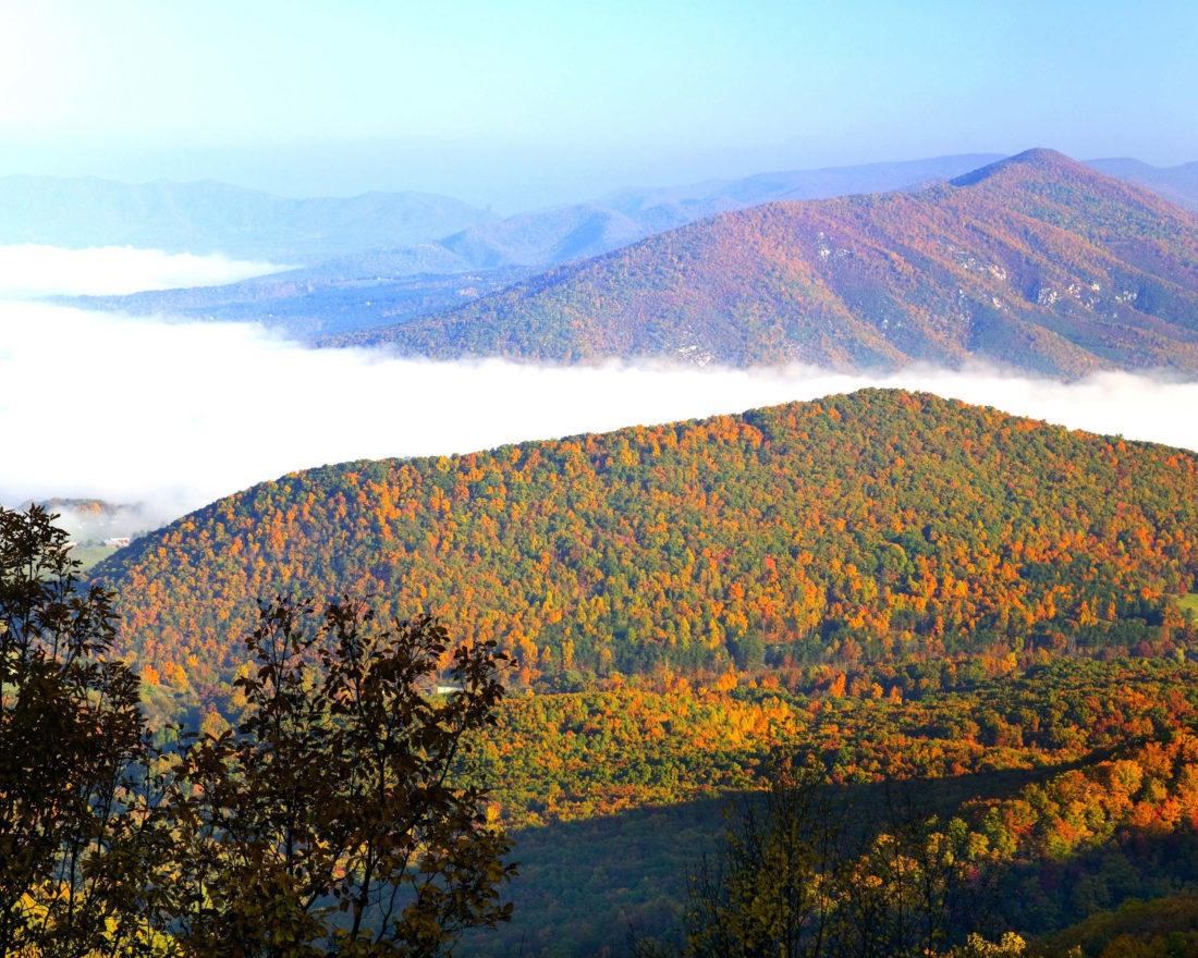 What You Need to Know about Fall Foliage This Year – Garden & Gun