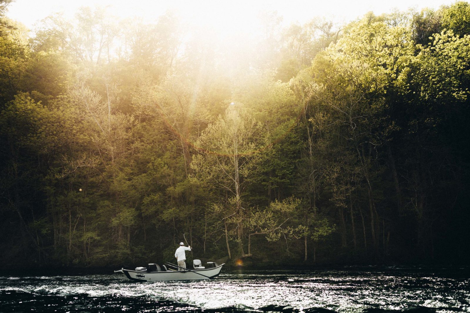 A man casts his line on the Watauga River in the morning.