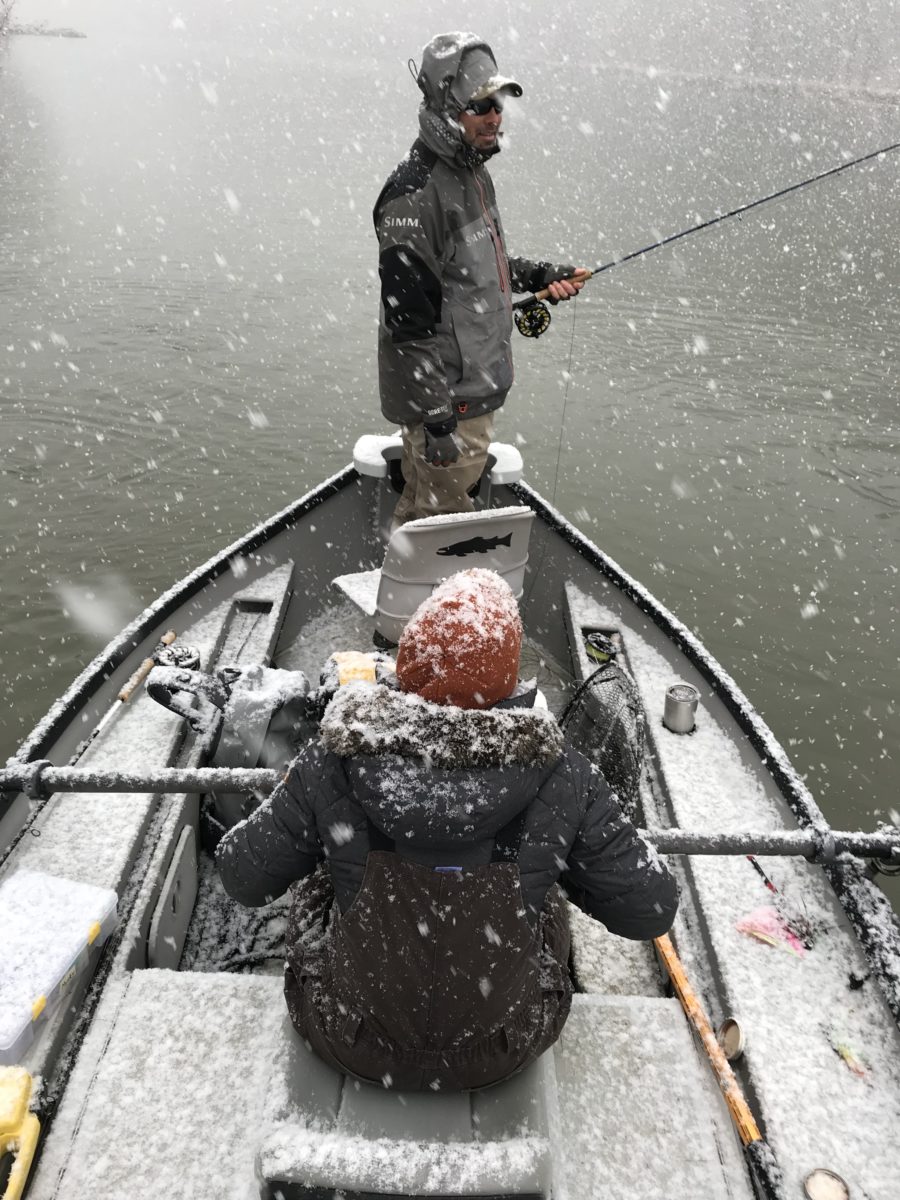 The Beauty of ColdWeather Trout Fishing Garden & Gun