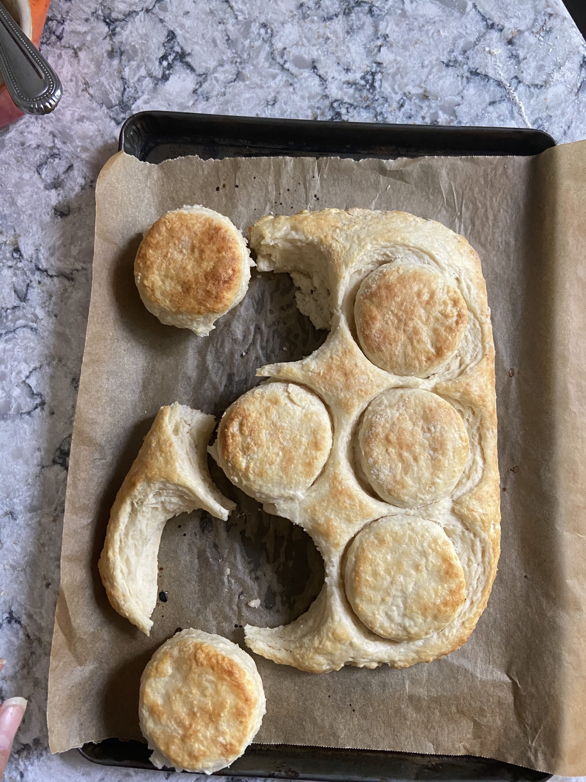 Everything Buttermilk Biscuits (6 Pieces) – The Hungry Gnome