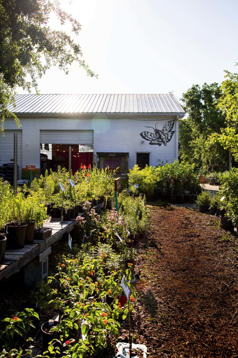 Seven Standout Southern Nurseries Garden & Gun