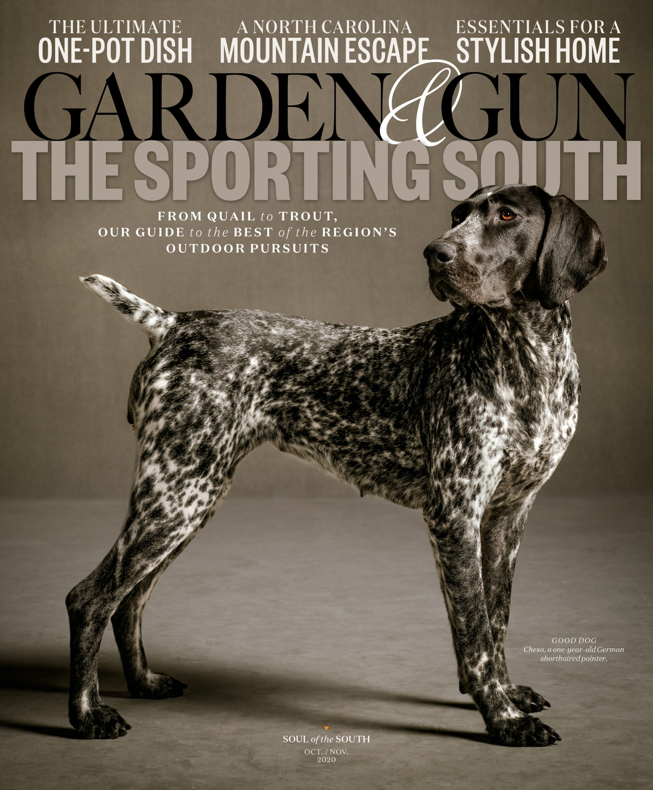 Garden and gun store good dog 2019