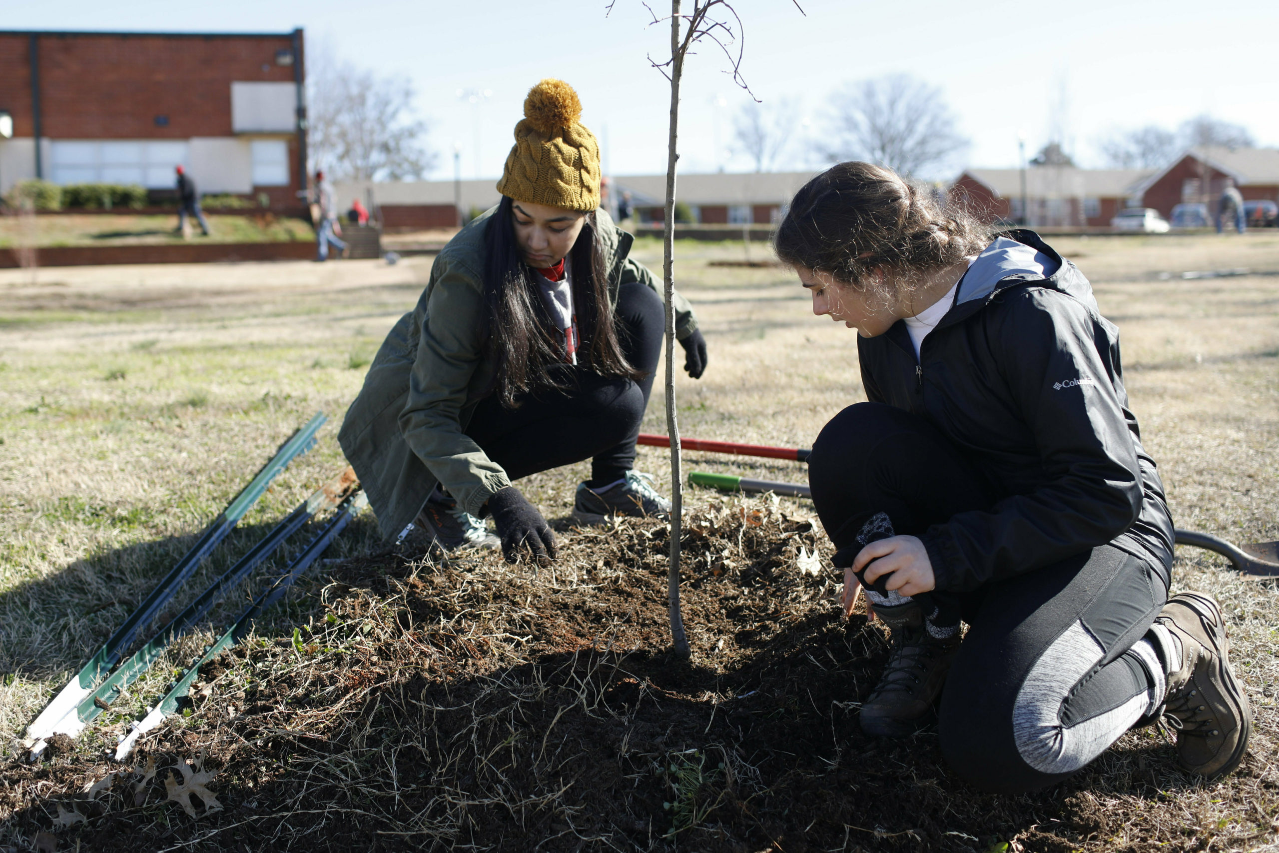 Ways to Pitch in on MLK Day – Garden & Gun - Vimarsana News