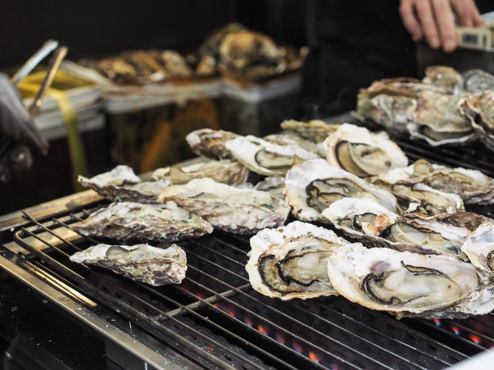 How to Roast Oysters at Home – Garden & Gun - Vimarsana News